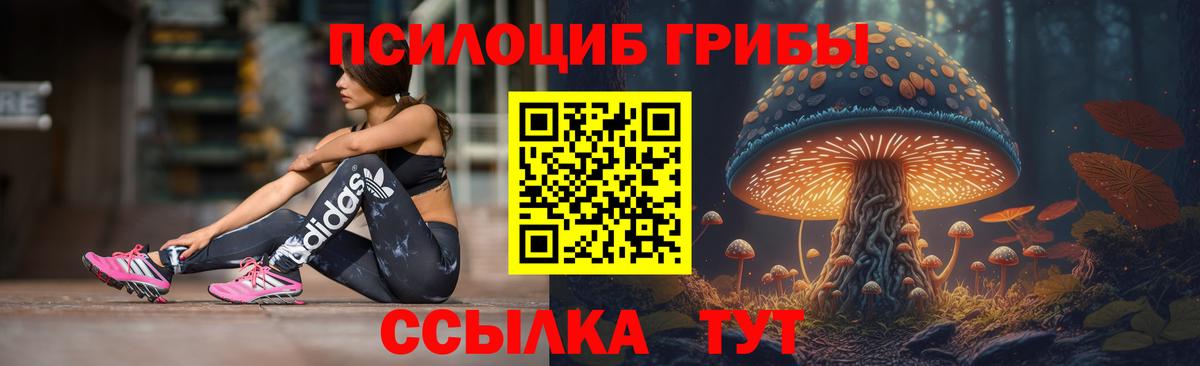 Псилоцибиновые грибы прущие грибы  Галлюциногенные грибы Magic Shrooms  Новоалтайск  Вход с VPN 